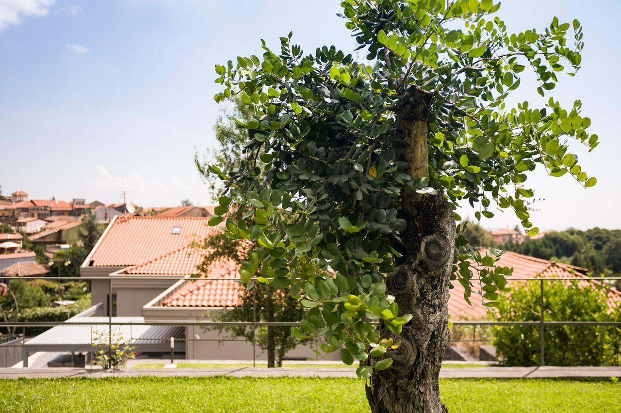 B&B Etna Dream Zafferana Etnea Esterno foto